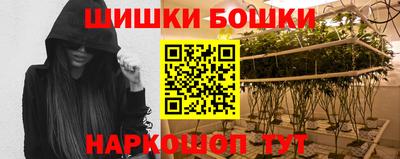 гашик Жуковский