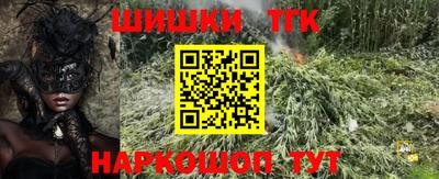 гашик Жуковский