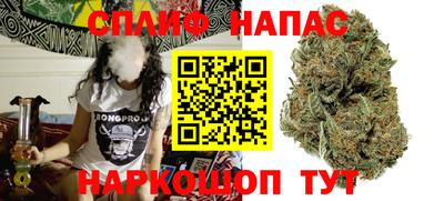 гашик Жуковский