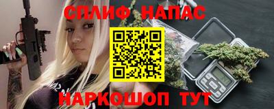 гашик Жуковский