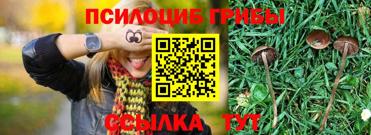 Галлюциногенные грибы MAGIC MUSHROOMS Комсомольск-на-Амуре