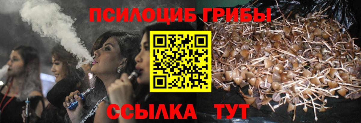 Комсомольск-на-Амуре  Псилоцибиновые грибы Psilocybe  где можно купить наркотик  Вход с VPN  Галлюциногенные грибы Psilocybe 